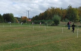 Powiatowe Igrzyska Dzieci, Powiatowe Igrzyska Młodziezy i Powiatowa Licealiada w Sztafetowych Biegach Przełajowych 93