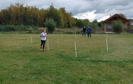 Powiatowe Igrzyska Dzieci, Powiatowe Igrzyska Młodziezy i Powiatowa Licealiada w Sztafetowych Biegach Przełajowych 97