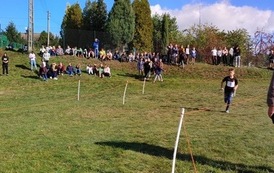 Powiatowe Igrzyska Dzieci, Powiatowe Igrzyska Młodziezy i Powiatowa Licealiada w Sztafetowych Biegach Przełajowych 164