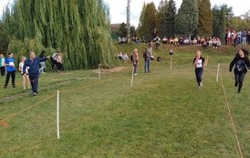 Powiatowe Igrzyska Dzieci, Powiatowe Igrzyska Młodziezy i Powiatowa Licealiada w Sztafetowych Biegach Przełajowych 203