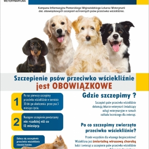 4adefe678a4dd4bbfe94d0d400203472