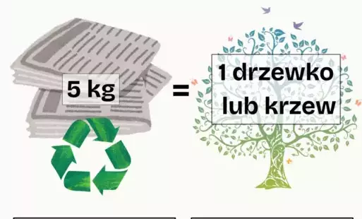 Zdjęcie artykułu z dnia 29-04-2025