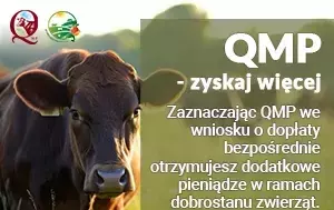 Zdjęcie artykułu z dnia 06-06-2025